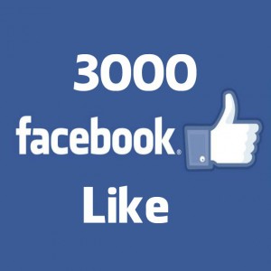 3000-facebook-like 3000 facebook page like